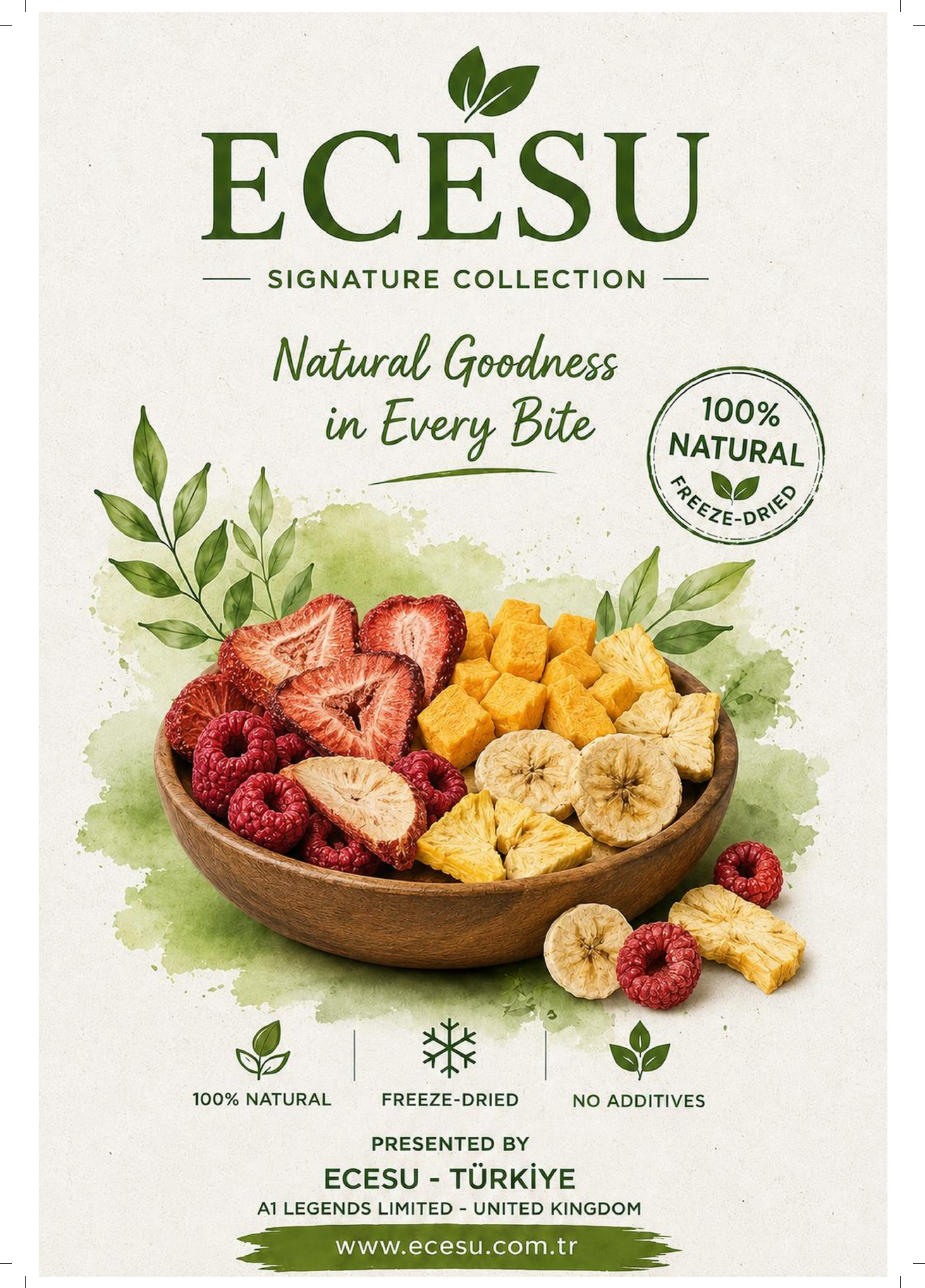 ECESU catalog cover.