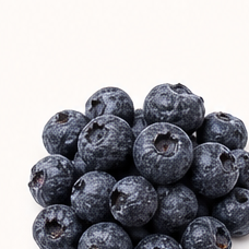 Freeze-dried blueberry pieces.